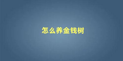 怎么养金钱树 金钱树一般能活几年