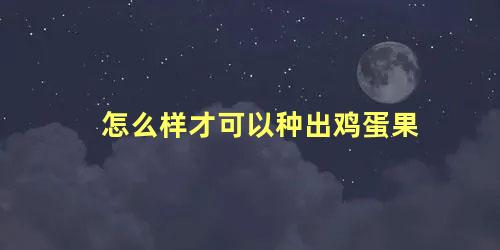 怎么样才可以种出鸡蛋果，鸡蛋果树怎样种才能开花结果