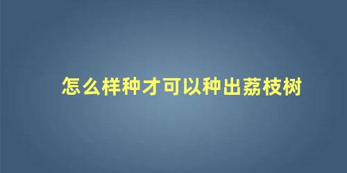 怎么样种才可以种出荔枝树 荔枝树适合什么地方种