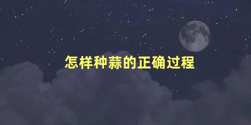 怎样种蒜的正确过程 大蒜怎么种出来的?