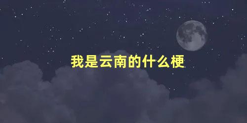 我是云南的什么梗 云南话我想夺你什么意思