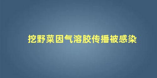 挖野菜因气溶胶传播被感染,气溶胶会传播病