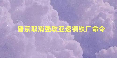 普京取消强攻亚速钢铁厂命令，普京下达命令