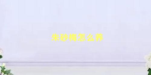 朱砂梅怎么养