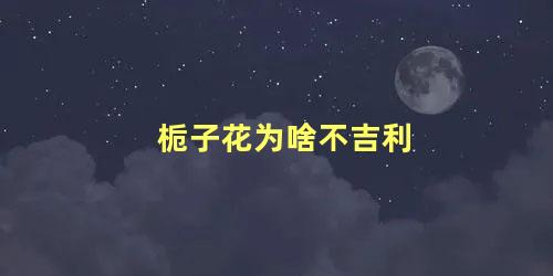 栀子花为啥不吉利 家里养栀子花风水好吗