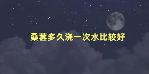 桑葚多久浇一次水比较好 桑葚结果后多久成熟