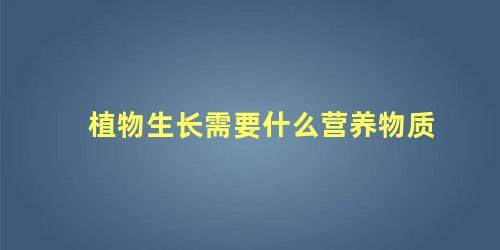 植物生长需要什么营养物质