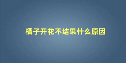 橘子开花不结果什么原因 桔子落果治疗方法