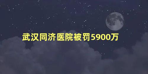 武汉同济医院被罚5900万