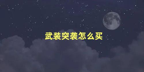 武装突袭怎么买