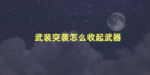 武装突袭怎么收起武器