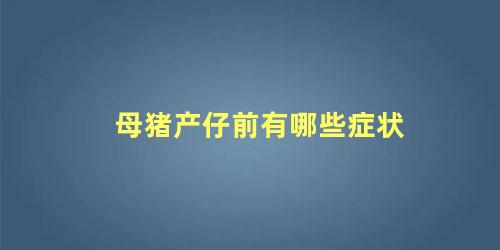 母猪产仔前有哪些症状 母猪准备生猪仔的征兆