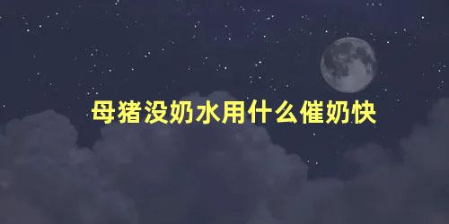 母猪没奶水用什么催奶快 怎样才能让母猪奶水充足