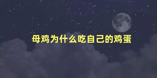 母鸡为什么吃自己的鸡蛋 鸡吃自己的蛋什么兆头