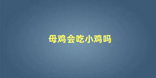 母鸡会吃小鸡吗 母鸡离窝多久蛋会凉死