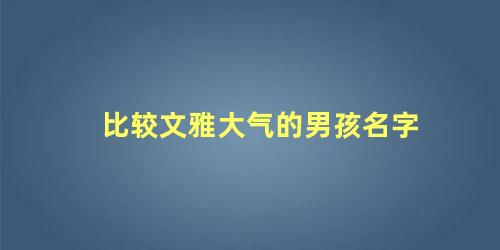 比较文雅大气的男孩名字