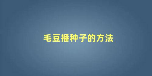 毛豆播种子的方法 毛豆怎么种植高产