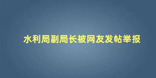 水利局副局长被网友发帖举报