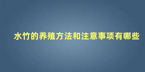 水竹的养殖方法和注意事项有哪些