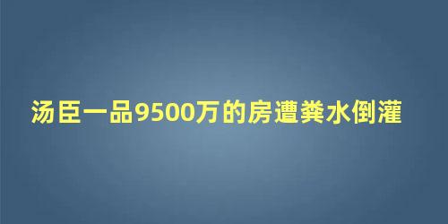 汤臣一品9500万的房遭粪水倒灌