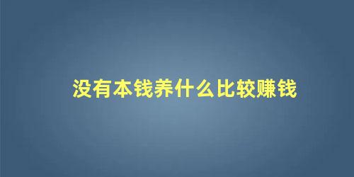 没有本钱养什么比较赚钱