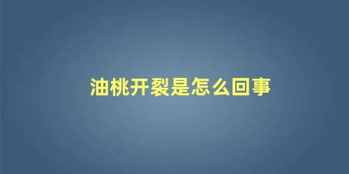 油桃开裂是怎么回事 桃子开裂病买什么药