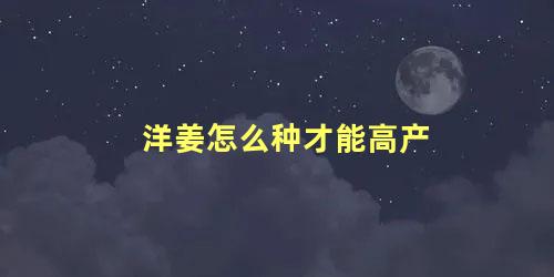 洋姜怎么种才能高产 洋姜可以种子繁殖吗