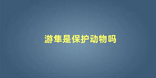 游隼是保护动物吗 隼的寿命是多少年