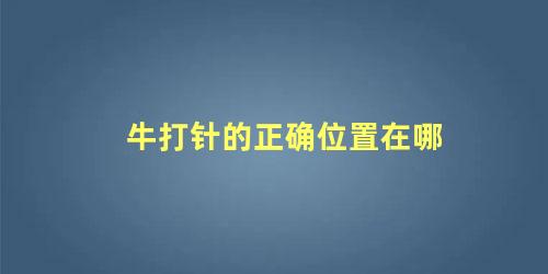 牛打针的正确位置在哪 给牛打针应该打在什么位置