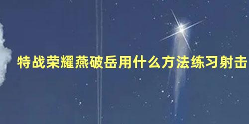 特战荣耀燕破岳用什么方法练习射击