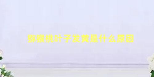 猕猴桃叶子发黄是什么原因，猕猴桃树叶卷曲是什么原因