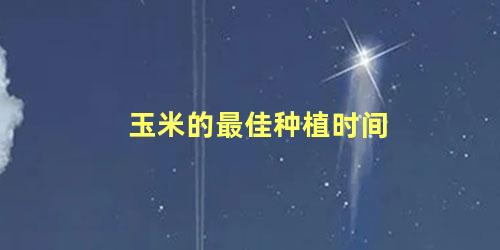 玉米的最佳种植时间 玉米最佳株距