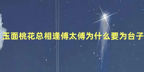 玉面桃花总相逢傅太傅为什么要为台子治病，玉