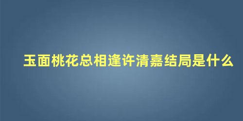 玉面桃花总相逢许清嘉结局是什么，玉面桃花总