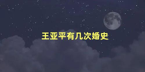 王亚平有几次婚史