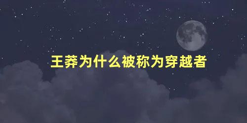 王莽为什么被称为穿越者