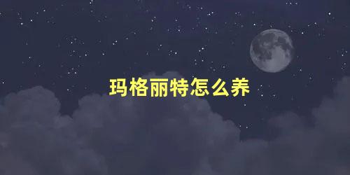 玛格丽特怎么养 玛格丽特一年开几次花