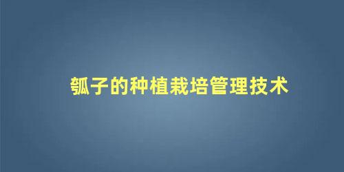 瓠子的种植栽培管理技术 瓠瓜种植技术与管理