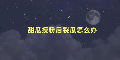 甜瓜授粉后裂瓜怎么办 怎样防止甜瓜裂瓜