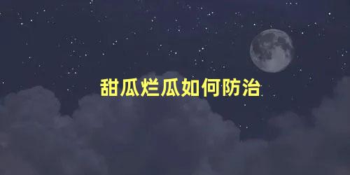 甜瓜烂瓜如何防治 甜瓜烂秧什么原因