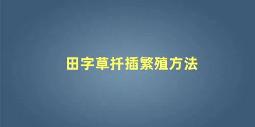 田字草扦插繁殖方法 田字草和四叶草区别