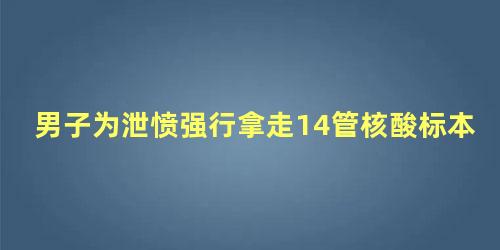 男子为泄愤强行拿走14管核酸标本