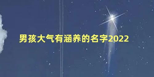 男孩大气有涵养的名字2022 男孩沉稳大气的名字