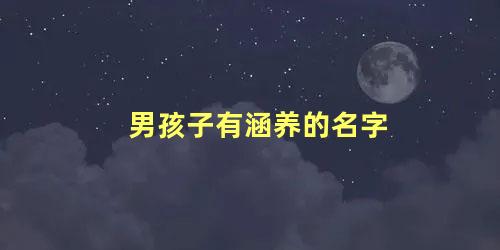 男孩子有涵养的名字