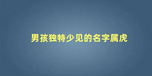 男孩独特少见的名字属虎