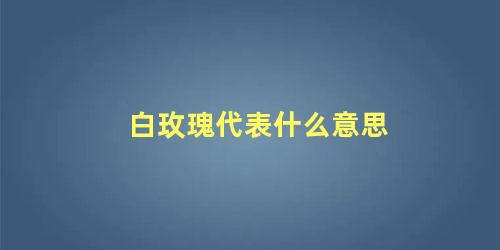 白玫瑰代表什么意思，白玫瑰可以送女朋友吗