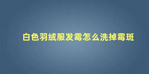 白色羽绒服发霉怎么洗掉霉斑 羽绒服受潮发霉后如何清洗