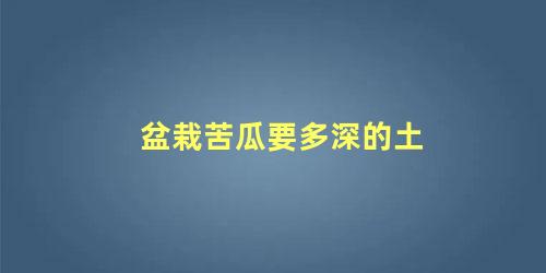 盆栽苦瓜要多深的土 盆栽苦瓜需要每天浇水吗