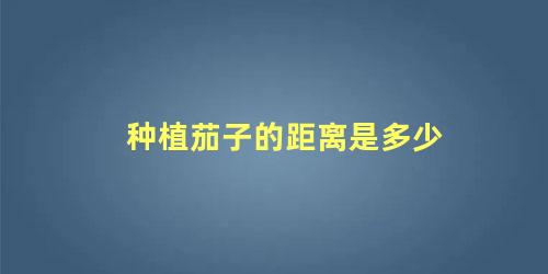 种植茄子的距离是多少 茄子苗栽多深合适