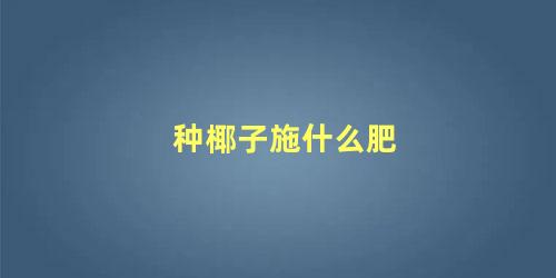 种椰子施什么肥 椰子树施肥方法与时间